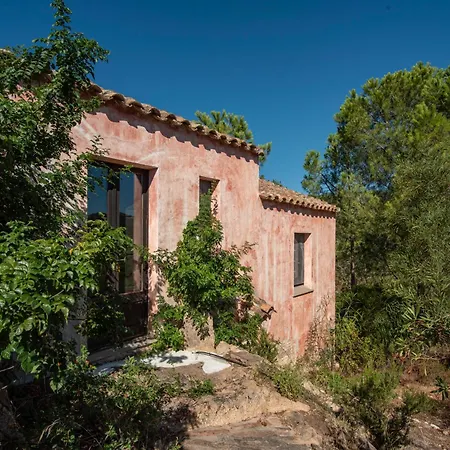 Domus Delle Stelle 2 - Padronale Con Piscina